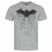 Batman DC COMICS Paint Men T-shirt GBMTS367SPO