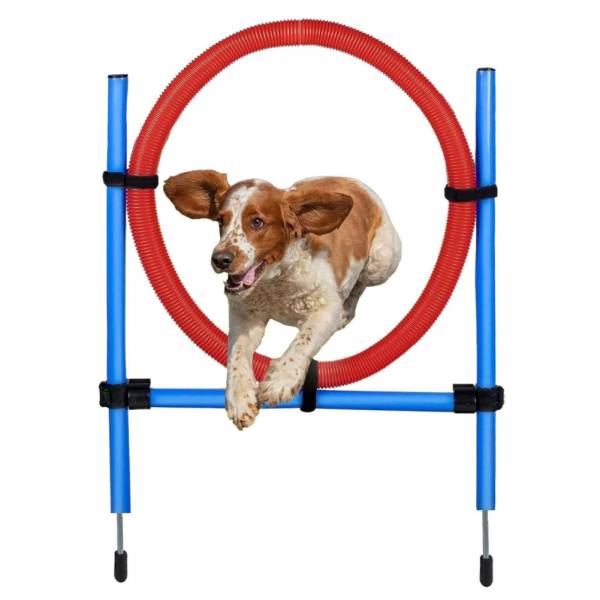 maxxpro Agilidad Spring Ring - Conjunto Agilidad para perros 47433