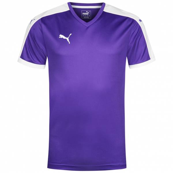 PUMA Pitch Jersey Kurzarm Trikot 702070-10