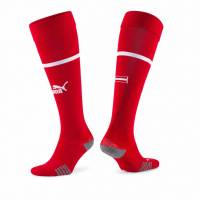 Österreich ÖFB PUMA Heim Stutzen 766035-01