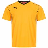 PUMA V5.08 Heren Trainingsshirt 700471-07