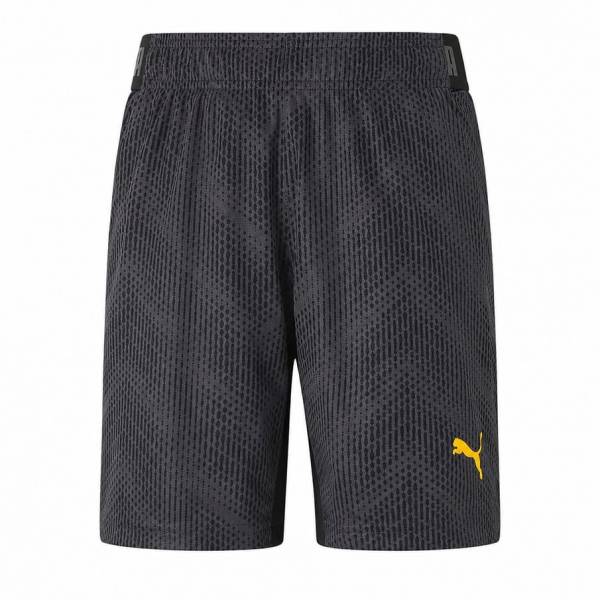 PUMA FTBLnxt Graphic Kinder Shorts 657019-04