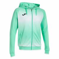 Joma Tiger V Men Hooded Jacket 103236.472