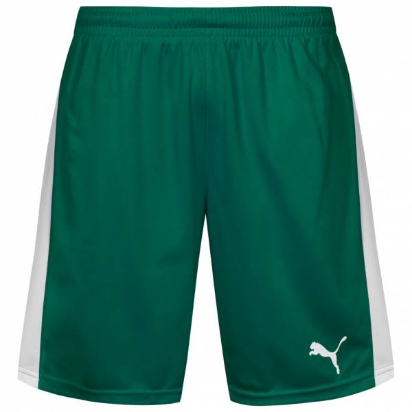 PUMA Pitch Herren Sport Shorts 702072-05