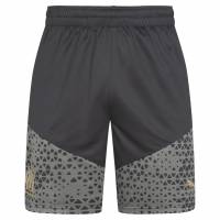 Olympique de Marseille PUMA Men Training Shorts 771930-42