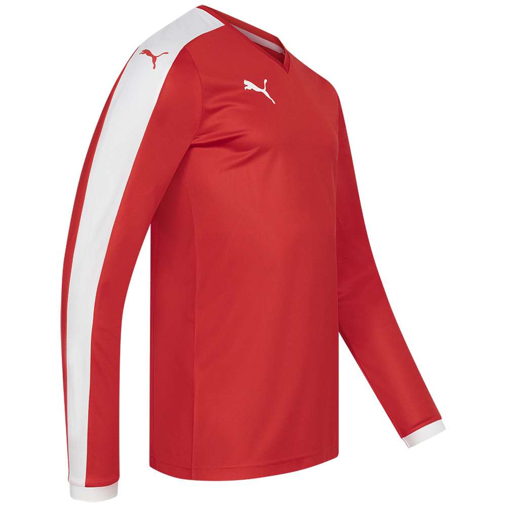 Puma pitch online