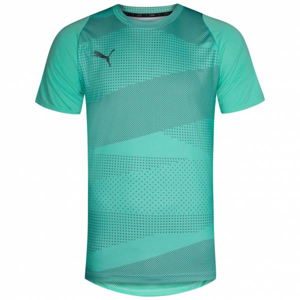 PUMA FTBLNXT Herren Graphic Trainings Trikot 655781-04