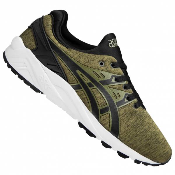 trainer evo