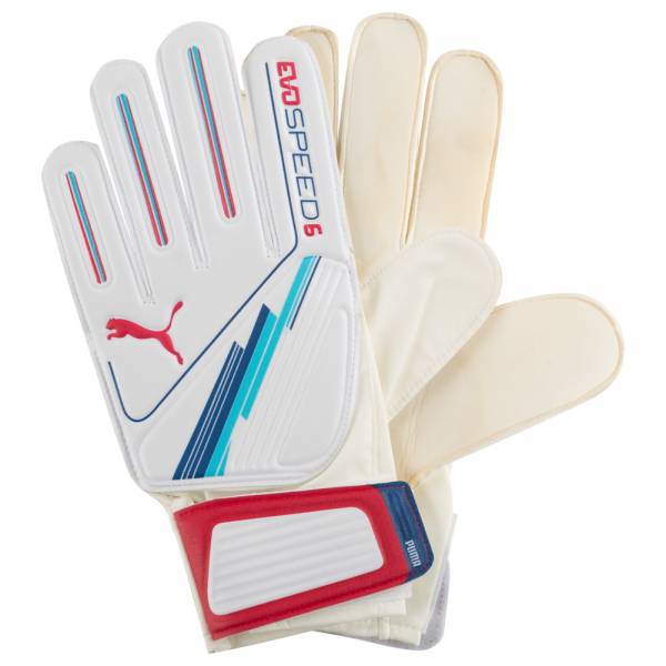 PUMA evoSPEED 6 Gloves Torwarthandschuhe 040887-01