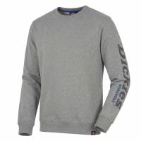 Dickies Okemo GPX Herren Sweatshirt DK0A4XTUGYM1