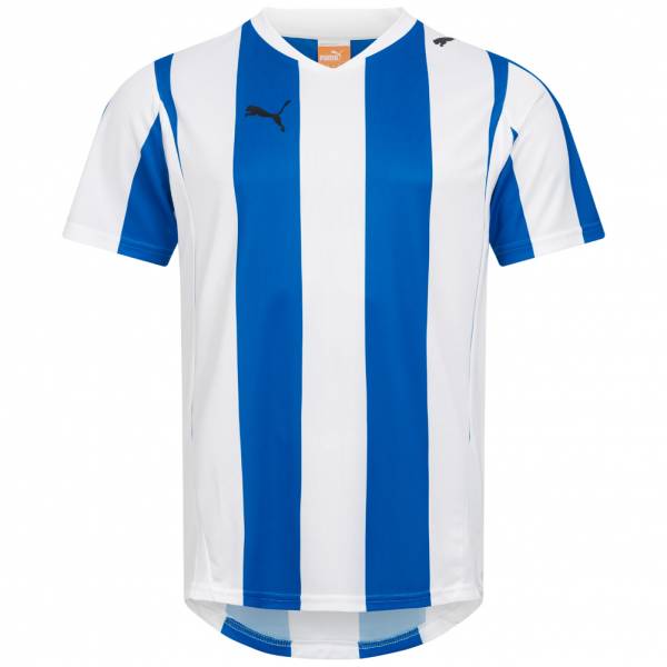 PUMA PowerCat 5.10 Striped Trikot 741322-01