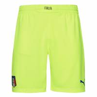 Italia FIGC PUMA Hombre Pantalones cortos de portero 744243-07