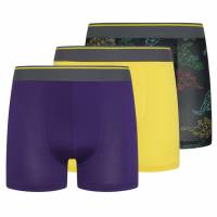 Parker & Fox Rendimiento Niño Calzoncillos bóxer Pack de 3 PRXFA24B151642-014