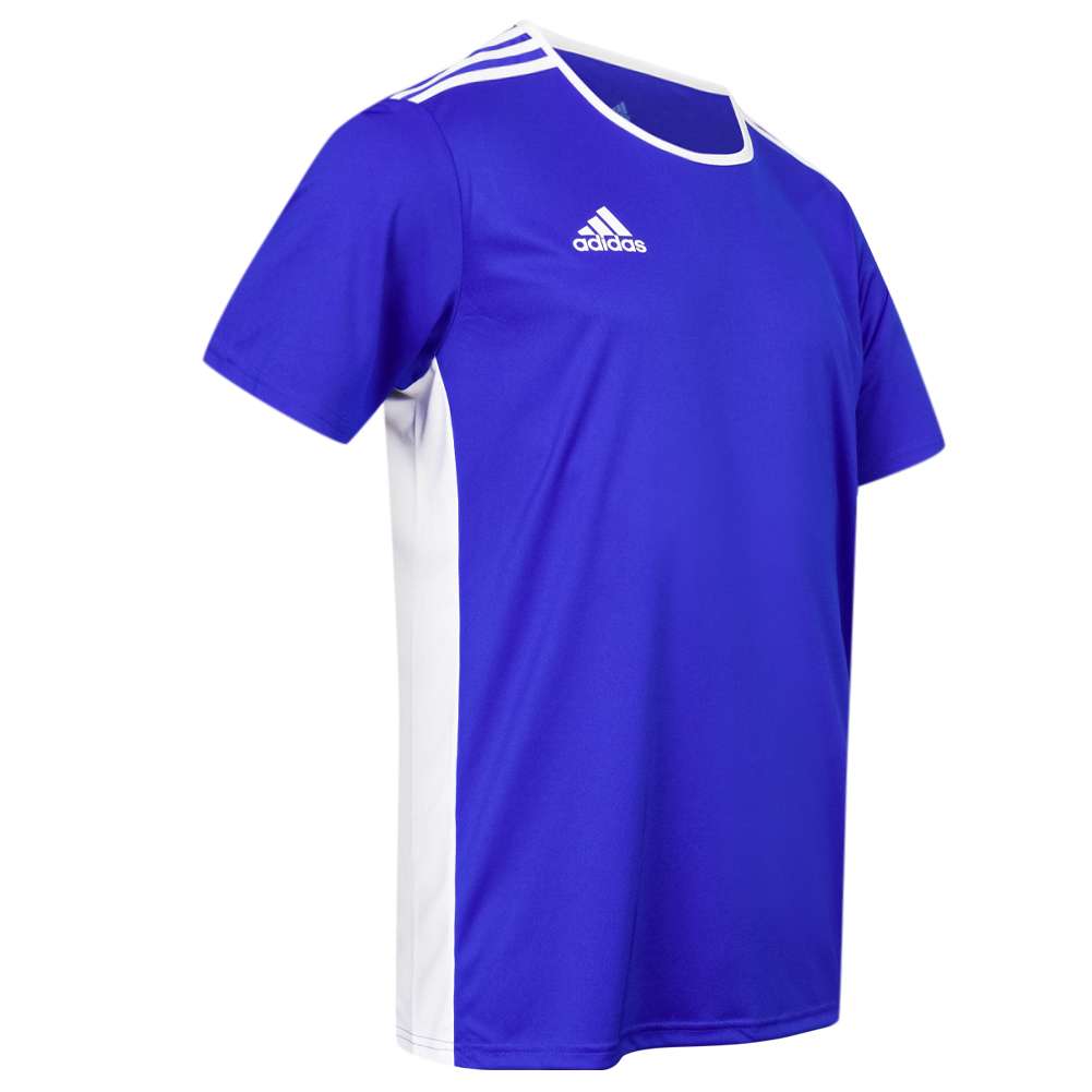 adidas entrada 18 uniform