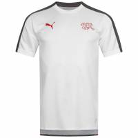 Switzerland PUMA Men Stadium Jersey 752488-01