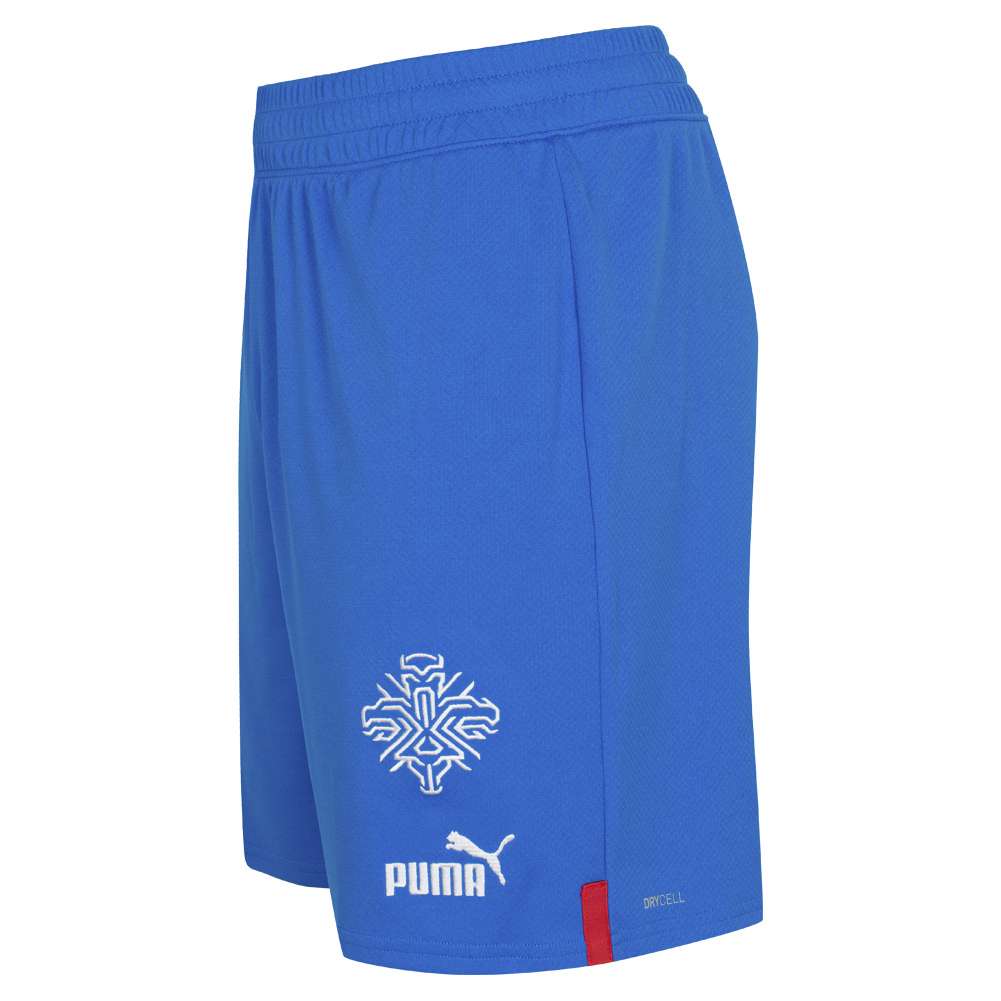 Iceland PUMA Men Home Shorts 766069-01 | SportSpar.com