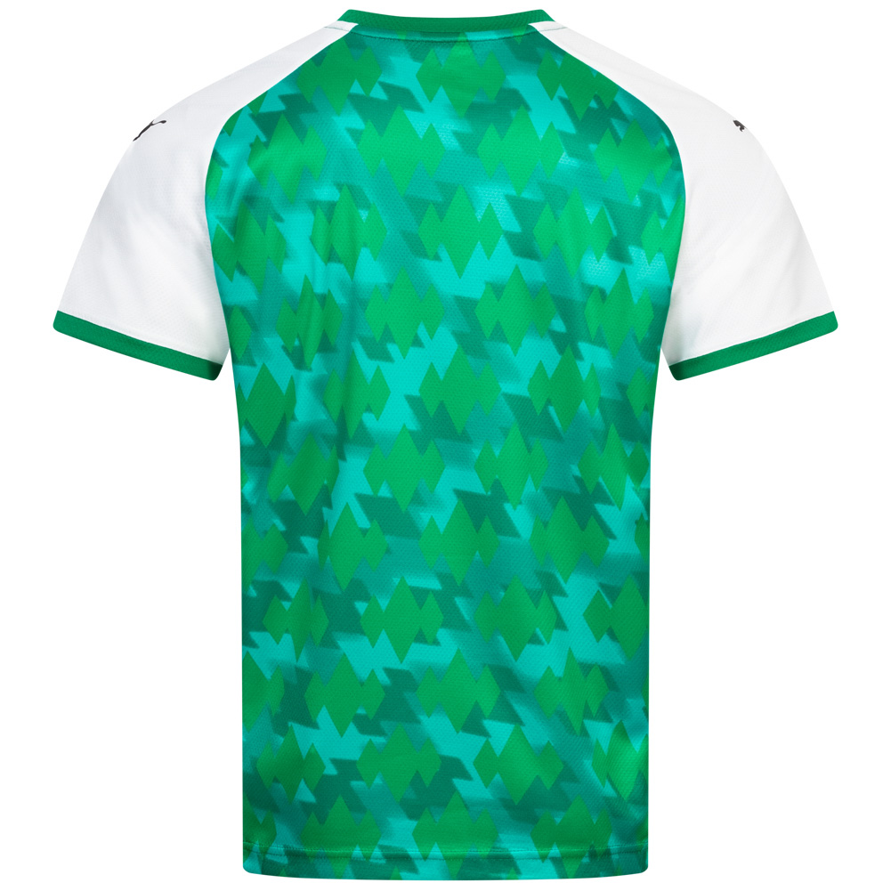 PUMA Herren Handball Trikot 76458201 sportrabat.pl