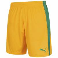 PUMA Pitch Hombre Pantalones cortos con calzoncillo incorporado 702075-41