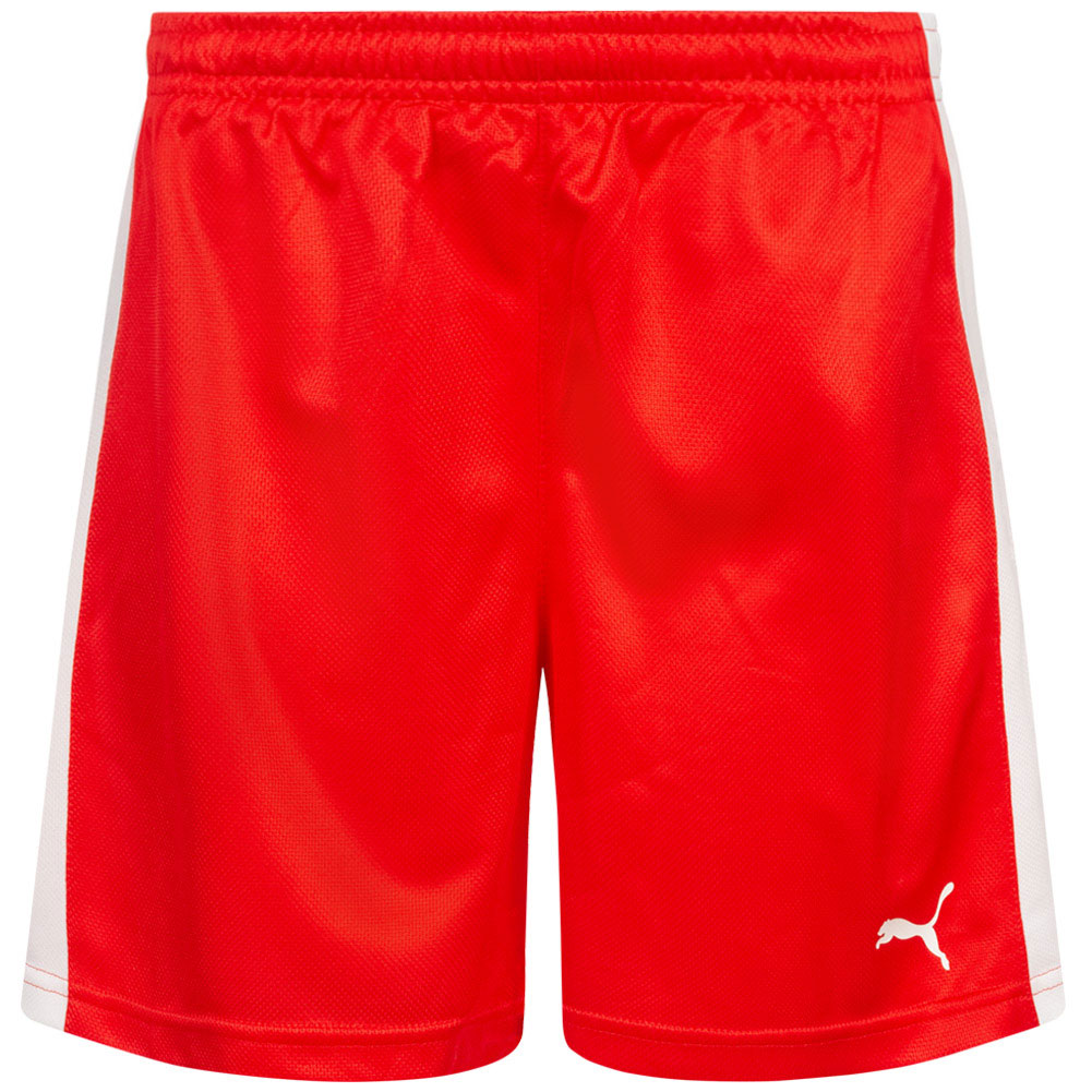 DHF Denmark PUMA Men Handball Shorts 75067301