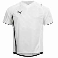PUMA Heren Trainingsshirt 737220-01