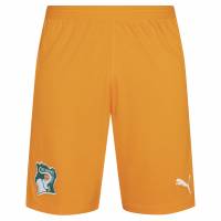 Ivoorkust PUMA Heren Short 758453-01