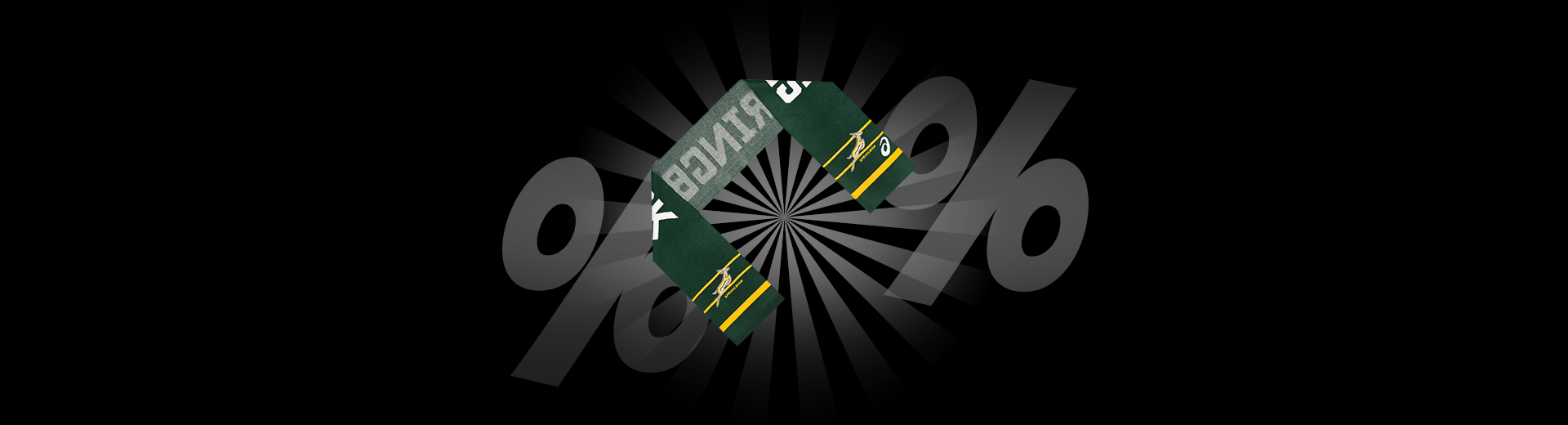 ASICS South Africa Springboks Fan Scarf solo 4,44 €