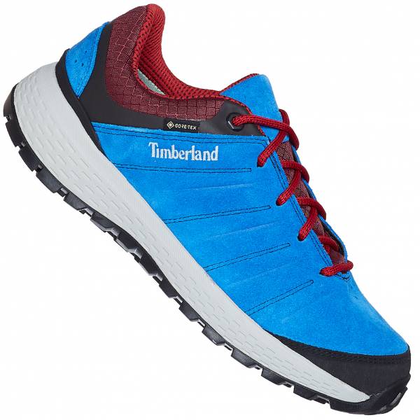 Timberland Parker Ridge Gore-Tex Hommes Chaussures de randonnée A231M