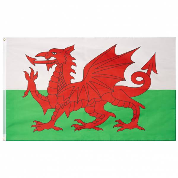 Wales Flagge MUWO &quot;Nations Together&quot; 90 x 150 cm