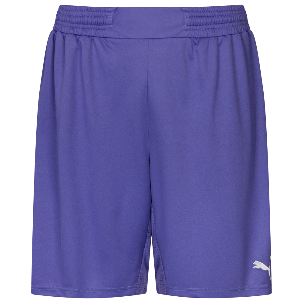 Puma hot sale soccer shorts