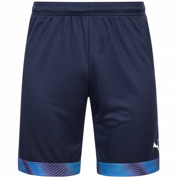 PUMA Cup Herren Shorts 704068-06
