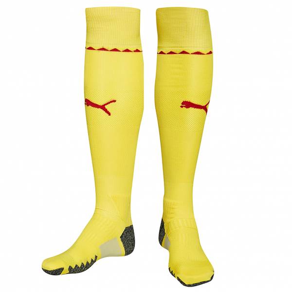 Cameroon PUMA Football Socks 749048-01