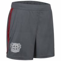Bayer 04 Leverkusen CASTORE Damen Trainings Shorts TF1696-GREYRED