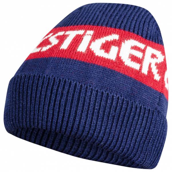 ASICS Tiger BL Logo Beanie Winter Hat 3191A006-400