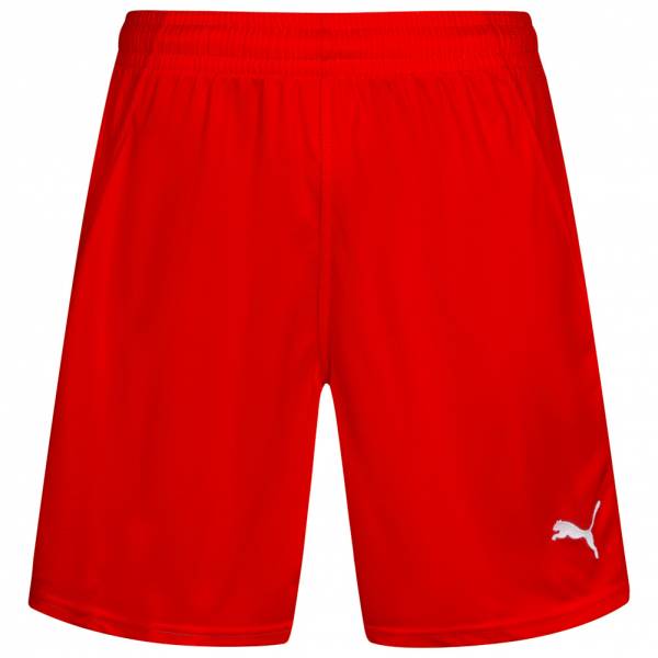 PUMA PowerCat 1.10 Handball Shorts 700873-01