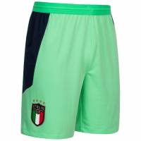 Italia FIGC PUMA Hombre Pantalones cortos 756505-04