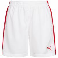 DHF Denmark PUMA Women Handball Shorts 750674-12