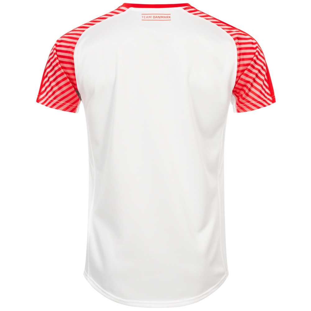 DHF Denmark PUMA Men Handball Jersey 75067512