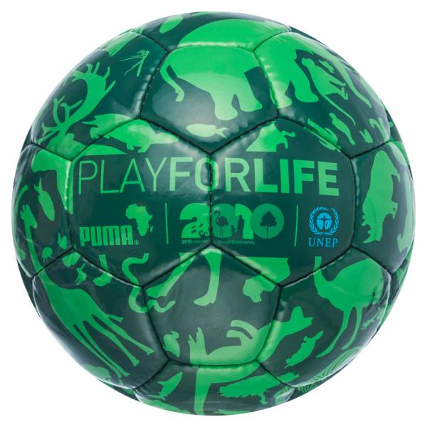 PUMA Future Play For Life Ballon de foot 081786-01