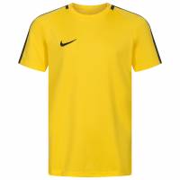 Nike Dry Academy Niño Camiseta de entrenamiento 893750-719