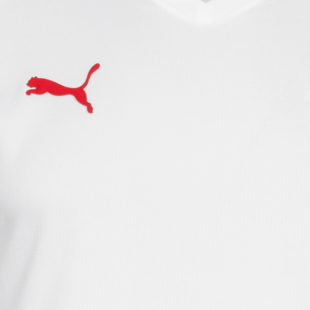 Dänemark PUMA Herren Handball Trikot 73611802 SportSpar