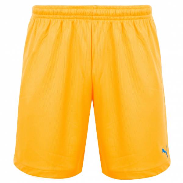 PUMA Vencida 2 Herren Trainings Shorts 700790-28