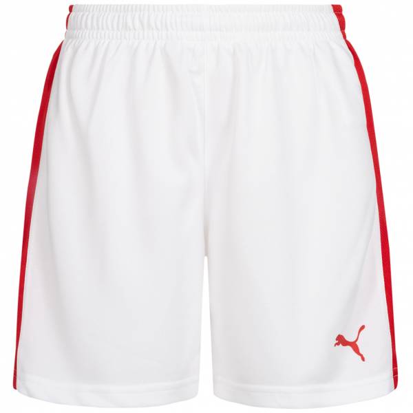 DHF Denmark PUMA Women Handball Shorts 750674-12