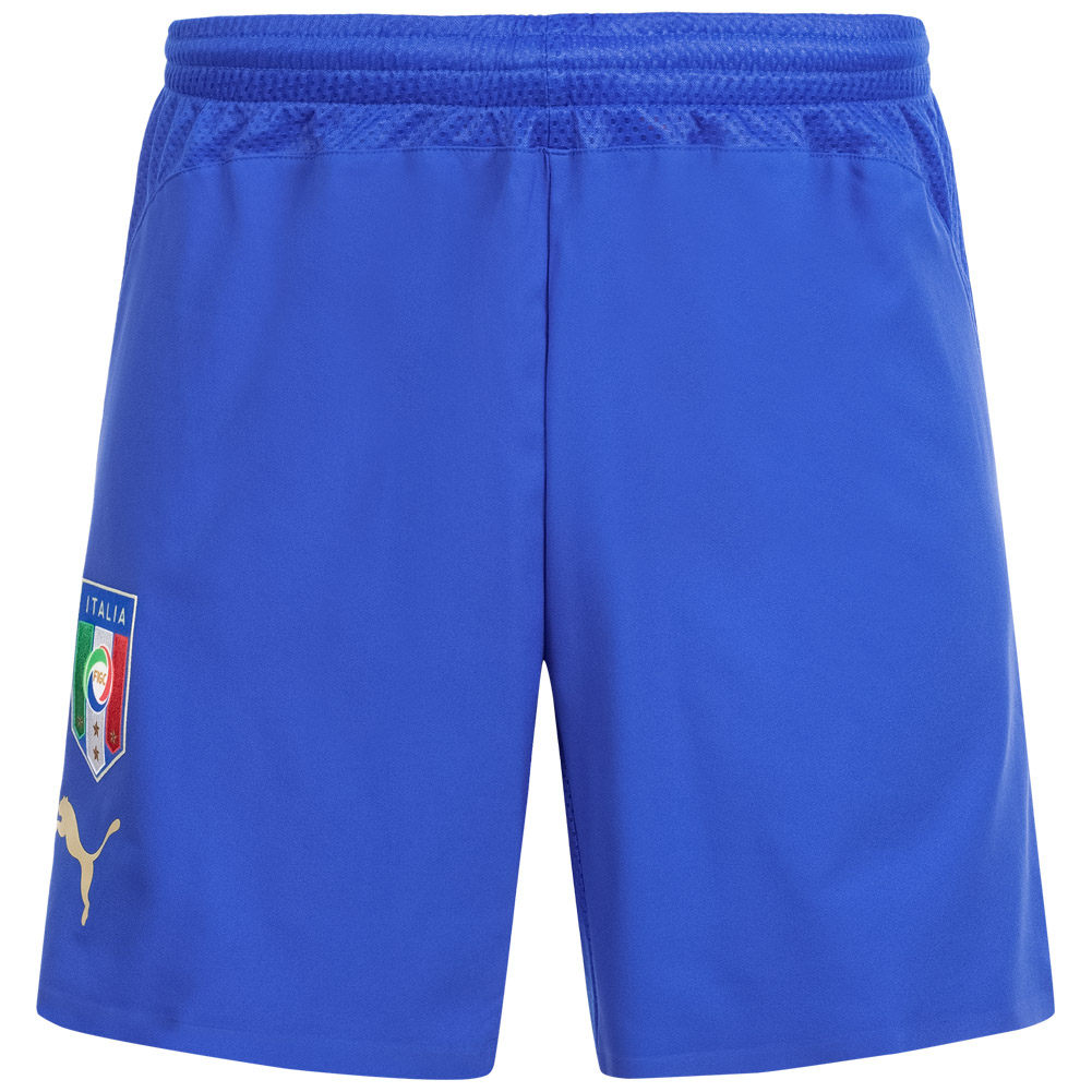 puma rugby shorts