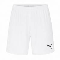 PUMA teamFINAL Mężczyźni Spodenki treningowe 704752-04