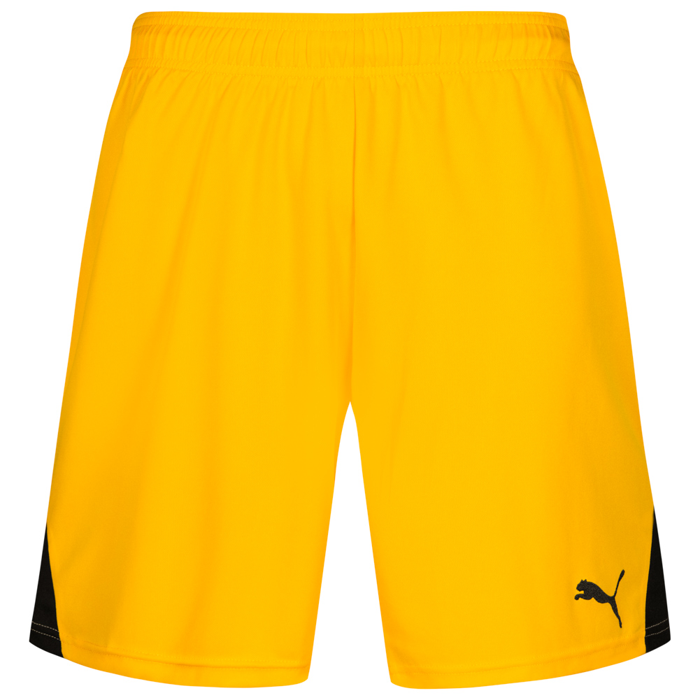 puma team shorts