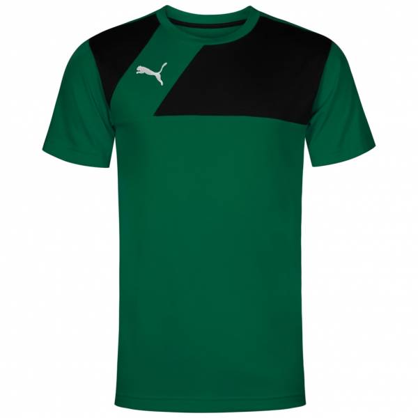 PUMA Esquadra Leisure Herren Trainings T-Shirt 654384-28