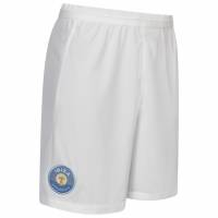UD Ibiza PUMA Hombre Pantalones cortos de entrenamiento 939000-04