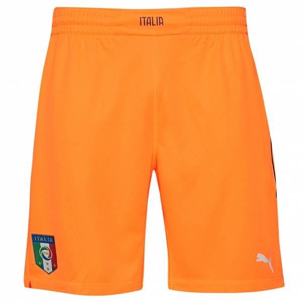 Italia FIGC PUMA Hombre Pantalones cortos de portero 744243-48
