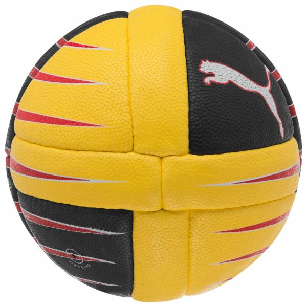 PUMA PowerCat 3.10 Ball Handball 081506-02