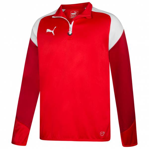 PUMA Esito 4 Herren 1/4 Zip Trainings Sweatshirt 655220-01